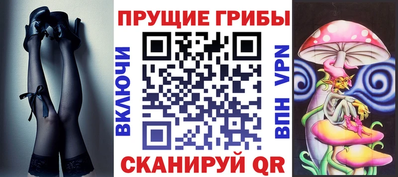 Псилоцибиновые грибы Cubensis  Йошкар-Ола 