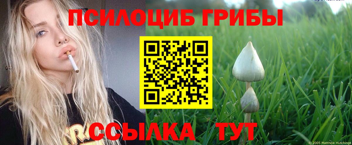 Галлюциногенные грибы мицелий  Вход с VPN  Йошкар-Ола  Галлюциногенные грибы ЛСД 