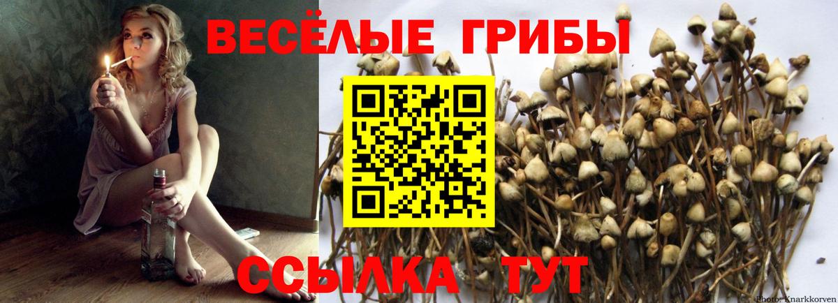Галлюциногенные грибы мицелий Йошкар-Ола